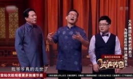 小老大传奇在线观看,在线观看，揭秘江湖风云再起