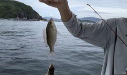 娱乐吃瓜钓鱼视频大全,全网热门娱乐吃瓜钓鱼视频大盘点